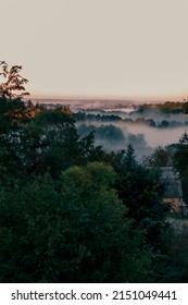 Beautiful View With Fog Between The Treetops