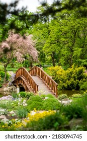 Beautiful View Of The Footbridge In The Botanical Garden