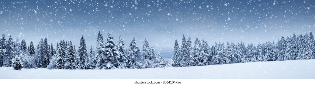 Beautiful view at the forest in snowfall