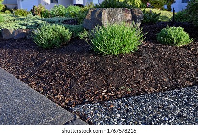 A Beautiful View A Fresh Irrigated Corner Of A Garden Landscape With Lush Green Bushes And Ground Cover In Bark Mulch