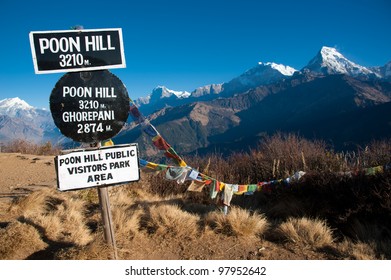 Beautiful view of grass field, colorful flag and Himalayan mountains in morning when see from the top of Poonhill peak, Nepal