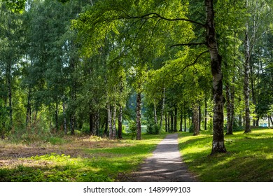 Beautiful view of the green grass and trees in Sestroretsky Park. Russia, Klin, Moscow region, July 2019 - Shutterstock ID 1489999103