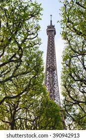 Beautiful view of green spring leafs with the Eiffel tower in the background in Paris