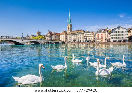 Beautiful view of the historic city center of Zurich with famous Fraumunster Church and swans on river Limmat on a sunny day with blue sky, Canton of Zurich, Switzerland