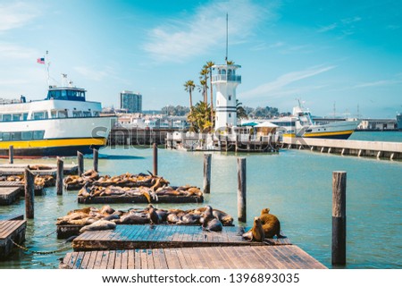 Beautiful view of historic Pier 39 with famous sea lions in summer, Fisherman's Wharf district, central San Francisco, California, USA Stockfoto © 