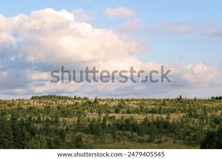 Similar – Image, Stock Photo Clouds over tree Nature
