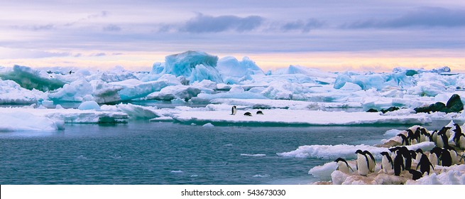 Beautiful view of icebergs in Antarctica - Shutterstock ID 543673030