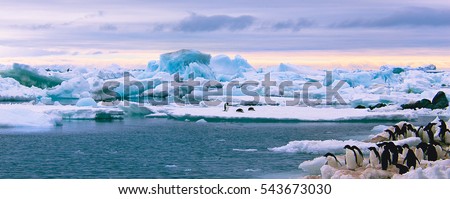 Beautiful view of icebergs in Antarctica