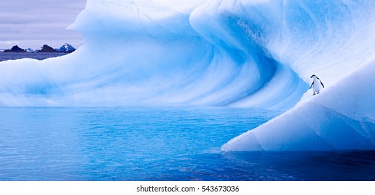 Beautiful view of icebergs and penguins in Antarctica - Powered by Shutterstock