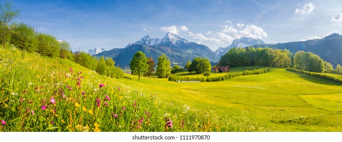 Beautiful view of idyllic alpine mountain scenery with blooming meadows and snowcapped mountain peaks on a beautiful sunny day with blue sky in springtime - Shutterstock ID 1111970870