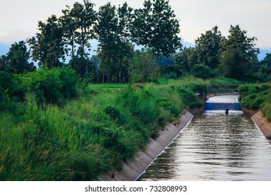 Beautiful View Irrigation Canal Green Trees Stock Photo 732808993 