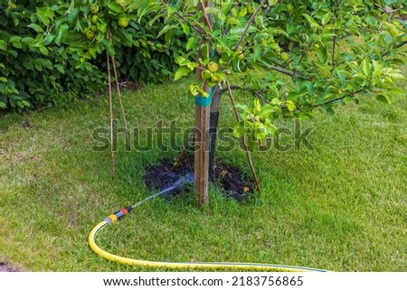 Image, Stock Photo Hose in water Branch Tree