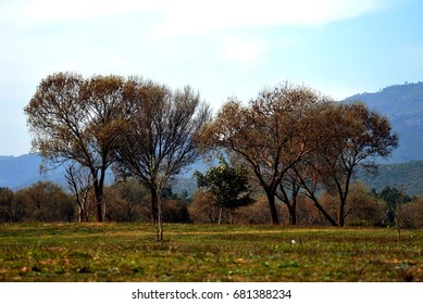 Beautiful View Of Islamabad Fatima Jinnah Park F-9.