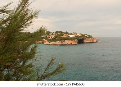 A beautiful view of an island. In the foreground is a Christmas tree, in the background you can see the sea and a beautiful green island.