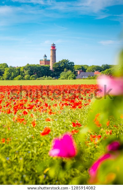 夏に咲く赤いケシの花畑を持つカップアルコナ灯台の美しい眺め ドイツ オスティー リューゲン島 の写真素材 今すぐ編集