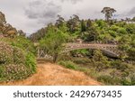 Beautiful view of the Kings Bridge at the entrance of Cataract Gorge. 