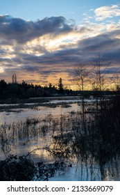 A Beautiful View Of A Lake In Brydon Lagoon, Langley, BC