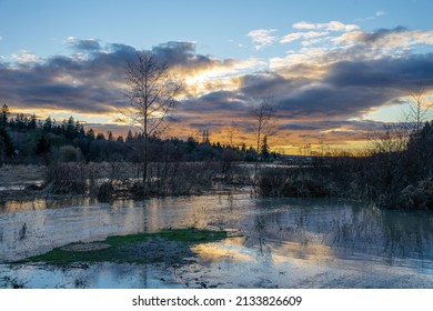 A Beautiful View Of A Lake In Brydon Lagoon, Langley, BC