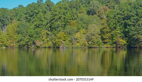 Beautiful View Of Lake Claiborne State Park, In Homer, Claiborne Parish, Louisiana