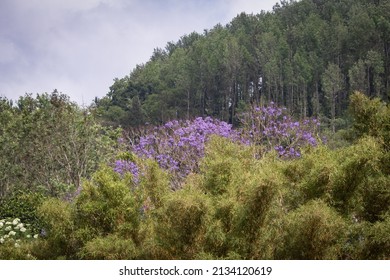 Beautiful View Of The Landscape Along The Shevaroy Hills, Yercaud, India