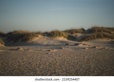 A beautiful view of large fields of sand  ad wild grass plants with a light sunset sky on the horizon