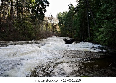 A beautiful view of looking across fast flowing river cascading downstream over rapids and boulders surrounded by lush forest - Shutterstock ID 1670515210