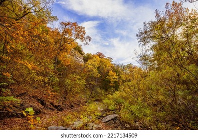 Beautiful View Of Midwestern Ravine In Fall With Dry Creek Bed; Tall Bluffs On Both Sides