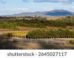 Beautiful view of Moulting Lagoon and Freycinet - Apslawn, Tasmania, Australia