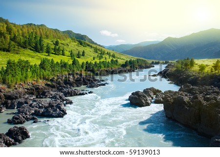 Beautiful view of mountain river in summer,Altai Mountains,Russia