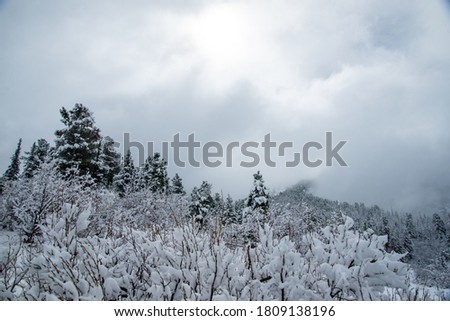 Similar – Image, Stock Photo jaw Environment Nature