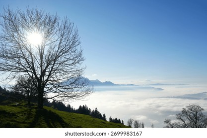 Beautiful view of mountains and trees under a bright sun in a clear blue sky at dawn