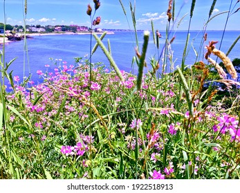 Beautiful View From The Newport Cliff Walk