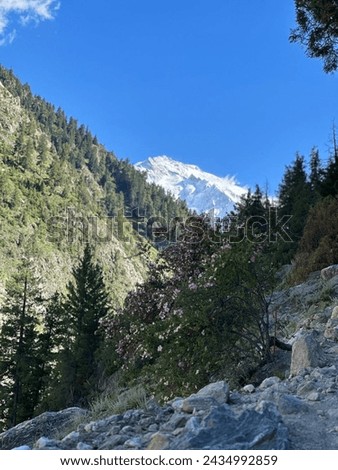 beautiful view of northern areas of Pakistan best place to visit for mountains forest. best time spent to these beauty of northern areas of Pakistan. Stock photo © 