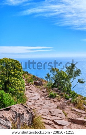 Beautiful view of the ocean from a hiking trail on a cliff. Landscape of colourful wild flowers in nature at Table Mountain national park in Cape town on a sunny day with blue sky and copy space