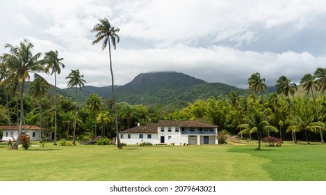 Beautiful View To Old Historic Farm House With Coconut Palm Trees In Ilhabela, São Paulo, Brazil