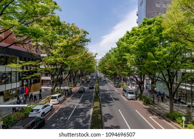 Beautiful View Of Omotesando Street From An Overpass, Tokyo, Japan