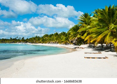 Beautiful view on the beach on Saona Island. White sand and palm trees and blue sea and chaise longue - Shutterstock ID 1668683638
