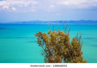 Beautiful View On The Gulf Of Tunis Near Sidi Bou Said, Tunisia