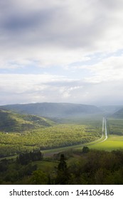 Beautiful View On Motovun Forest