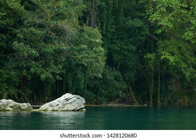 Jamaica Rafting High Res Stock Images Shutterstock