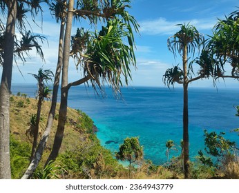 beautiful view on Tagulandang Island - Shutterstock ID 2364943779
