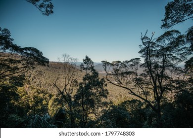 The Beautiful View On Tamborine Mountain