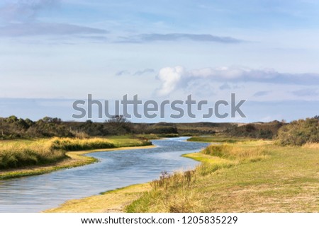Beautiful view on the  Waterleidingduinen, a coastal dunes area in the neighbourhood of Amsterdam. In this area the drinkingwater for the inhabitants of Amsterdam is abstracted. Wonderful walking area