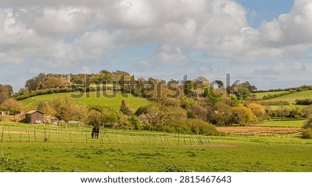 Beautiful view over the fields which have a horse and sheep. There is a hill and on the hill are houses nestled in the trees and Carisbrooke Castle in the distance on top of the hill. 