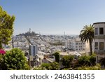 beautiful view over San Francisco in the morning from the so called russian hill at Lombard Street 