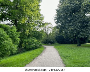 Beautiful view of park with pathway and trees outdoors