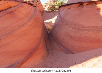 A beautiful view of Paw Hole, Coyote Buttes South, Vermillion Cliffs National Monument, Arizona, USA