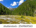 Beautiful view of the Pearl Shoals Waterfall among wooded mountains in Jiuzhaigou nature reserve (Jiuzhai Valley National Park), China. 