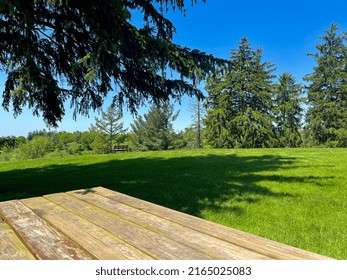 Beautiful view from the picnic table at the park