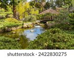 Beautiful view of the pond and bridge. Hakone Gardens in Saratoga, California